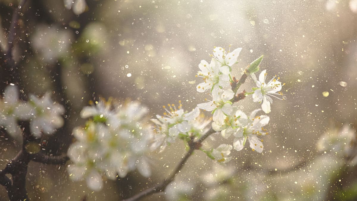 The science behind ‘outside smell’: Why it sticks to clothes and hair The science behind ‘outside smell’: Why it sticks to clothes and hair