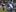Tito Tebaldi of Italy passes from the back of the scrum as Wyatt Crockett of New Zealand looks on. Photo / Getty Images