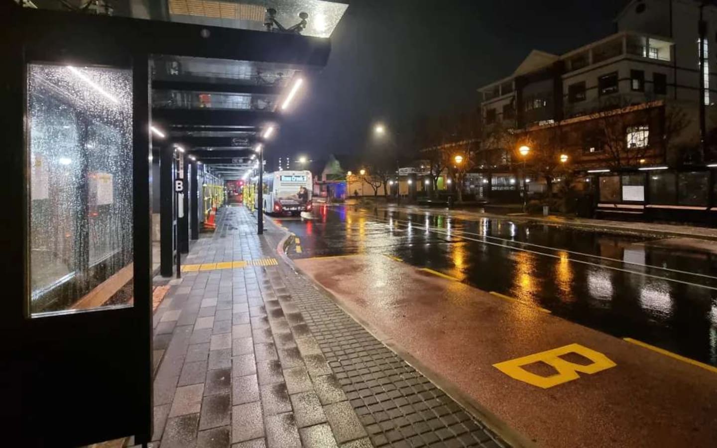 The scene of last Thursday's fatal attack in Dunedin. Photo / Tess Brunton, RNZ