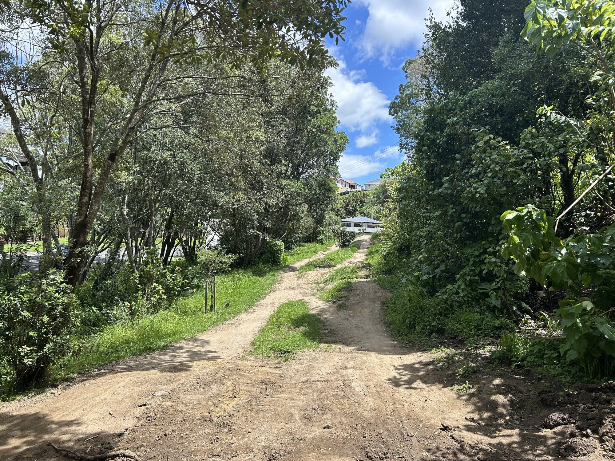 Jumps on the Pillans Rd Bike Track were bulldozed earlier this month, and neighbouring resident Emily Collier has launched a petition to save the track from closure. Photo / Emily Collier