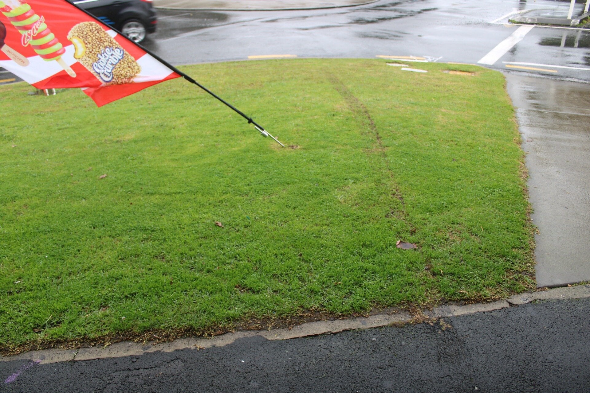 The ram raiders left skid marks on the grass during the attack on the Viking Dairy in Otūmoetai. Photo / Ayla Yeoman