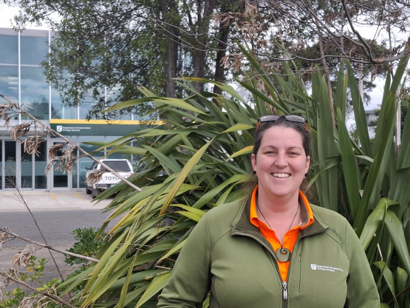 How to protect wildlife this summer: DoC advice for beaches and ...