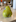 A pear with a butt has been listed for sale on Trade Me. Photo / Trade Me