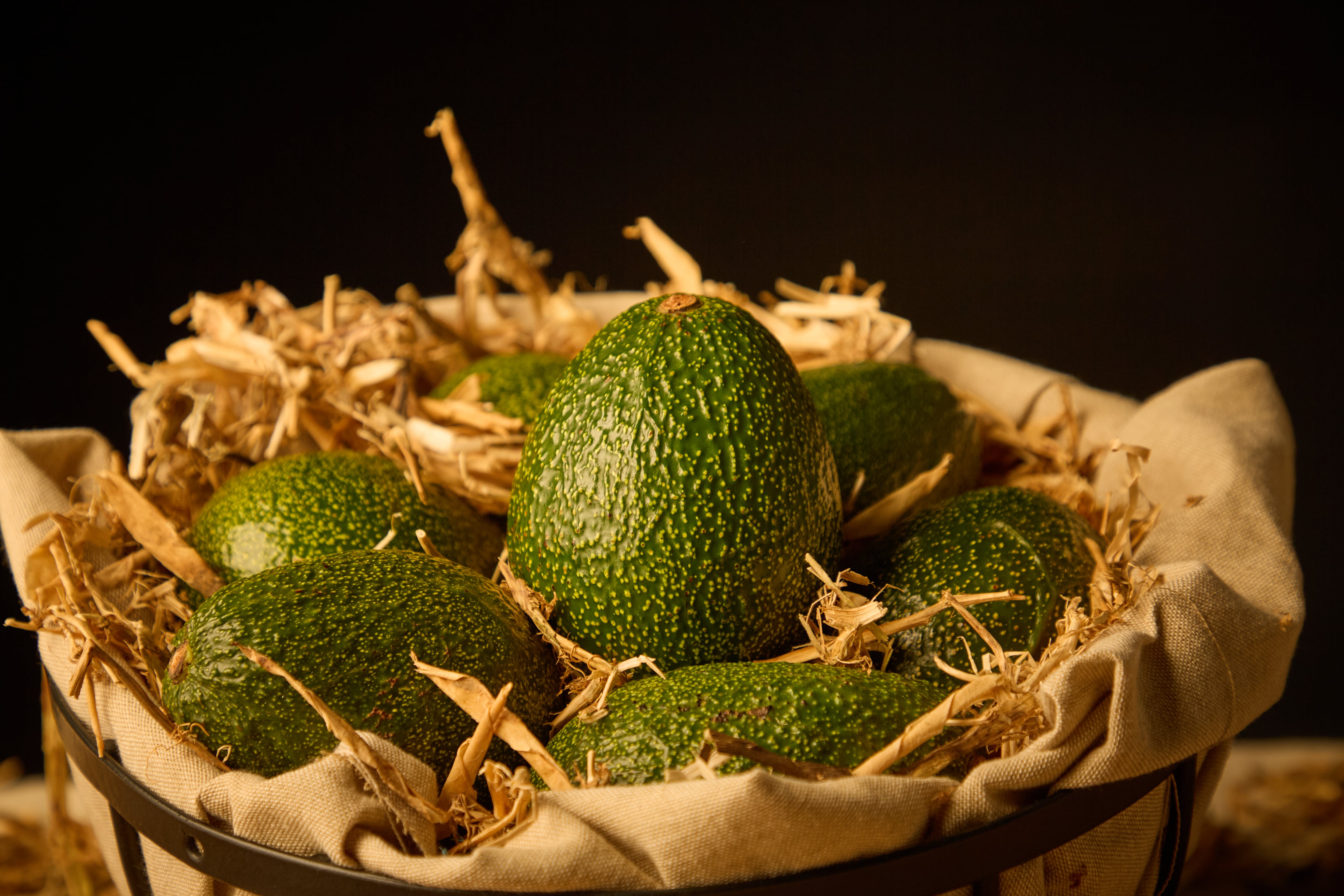 Chelsea Winter will whip up a host of flavour-packed avocado-inspired dishes at the 2026 Katikati Avo Fest. Photo / The Avo Tree
