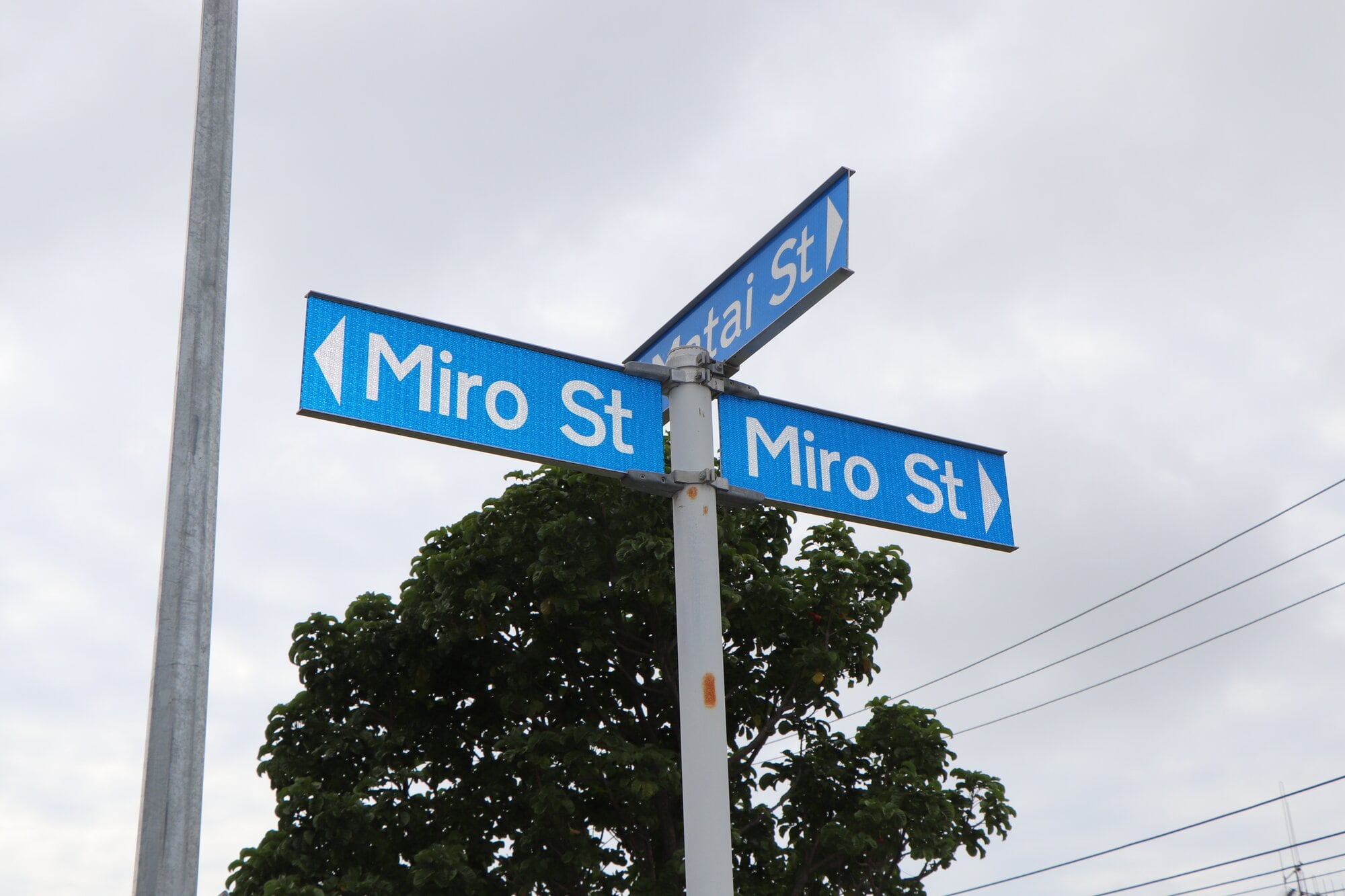  Miro St is located in Mount Maunganui by Blake Park. Photo / Ayla Yeoman