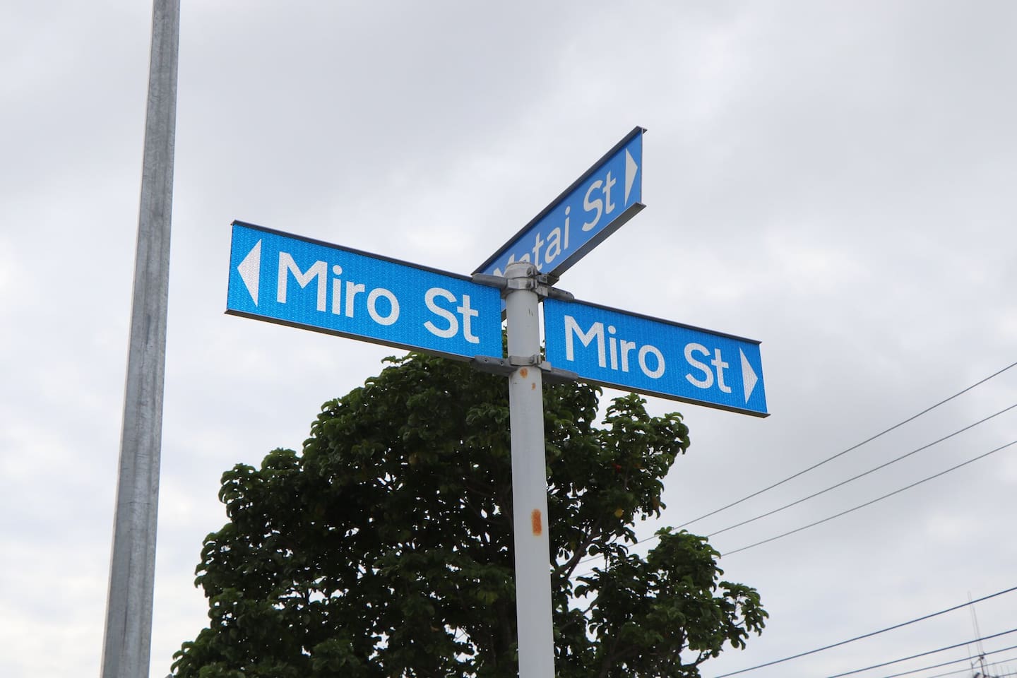 Miro St is located in Mount Maunganui by Blake Park. Photo / Ayla Yeoman