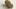 Photo / File