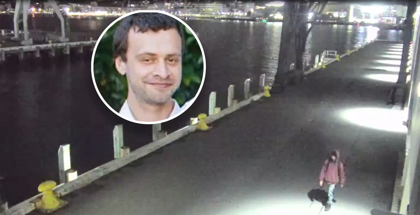 One of the last CCTV images of Sandy Calkin walking along Wellington's waterfront the night he died. Photo / Supplied