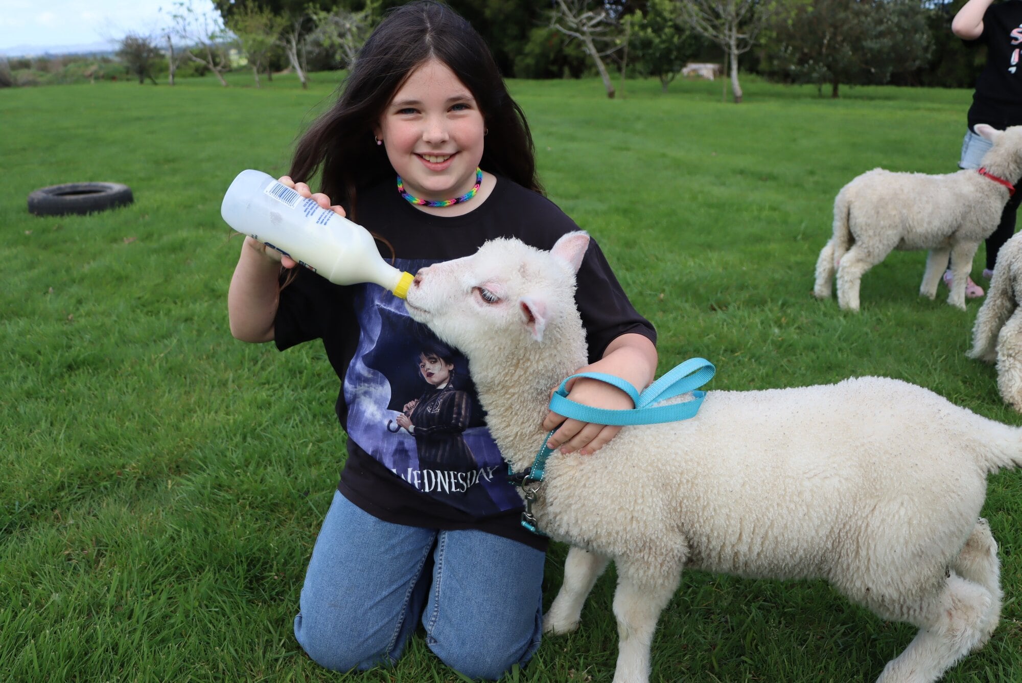 Kaimai School student Matilda Skellon-Storey, 9, feeding lamb Zoey. Photo / Ayla Yeoman