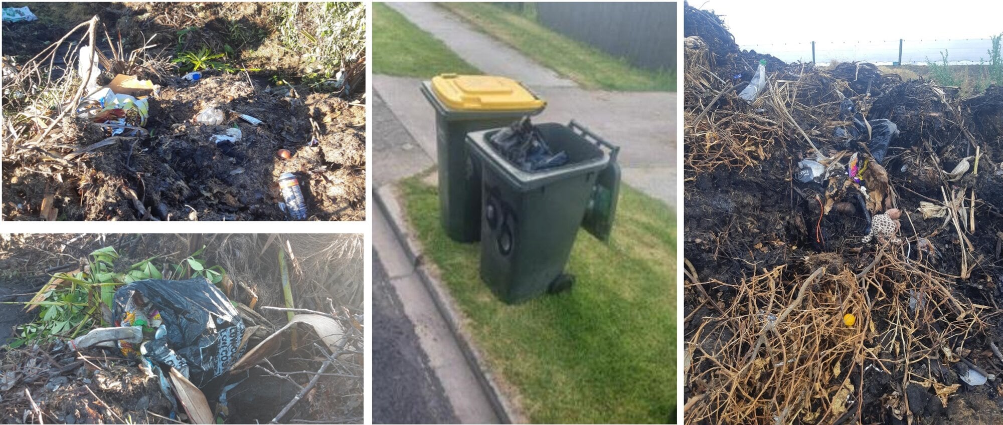  Compost made from kerbside greenwaste bins could not be sold because it contained too much rubbish. Photo / Supplied