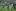 Anthony Boric of the All Blacks is tackled during a training session at the Ashbourne Rugby Club in Dublin, Ireland. Photo / Getty Images