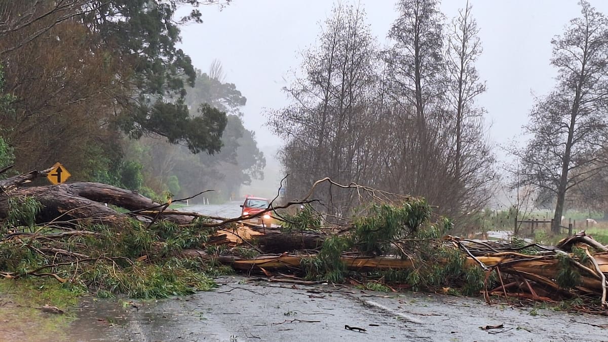 Ham radio distress post was hoax, 50 people evacuated, wild weather clean-up begins Ham radio distress post was hoax, 50 people evacuated, wild weather clean-up begins