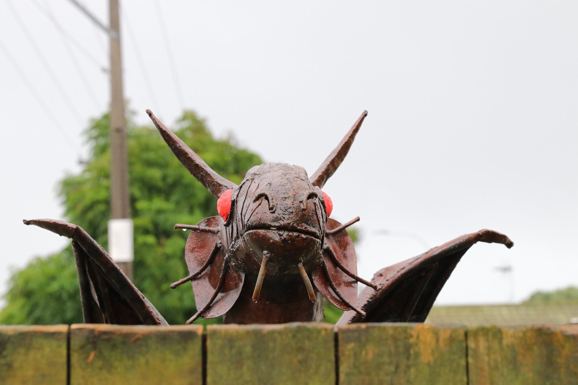  Motorists pulling into BP Connect on Maunganui Rd now have a friendly dragon peering over the fence in their direction.  Photo / Kelly O&rsquo;Hara
