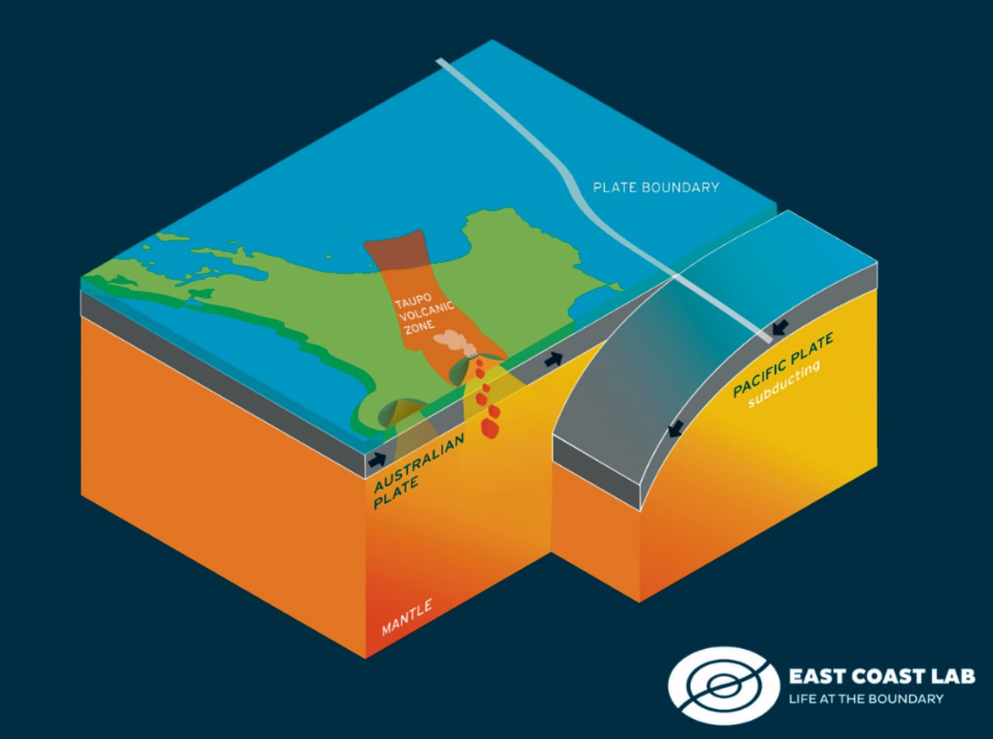 The Hikurangi Subduction Zone is where the Pacific Plate dives beneath the Australian Plate. Scientists say this process is also forcing huge volumes of water into the Earth's mantle, to drive volcanism in the central North Island. Images / East Coast Labs