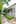 29 Burnley Tce, Mt Eden. Photo / Ted Baghurst