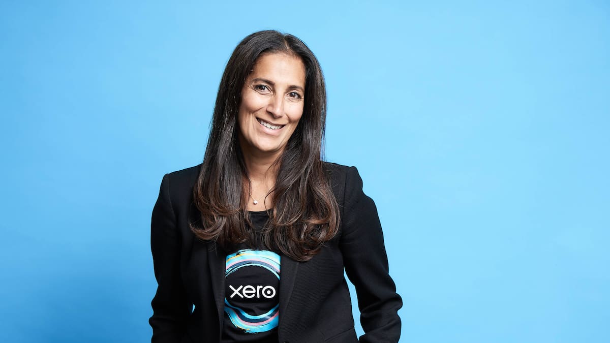 Under-pressure Xero partners with AI giant – which also offers free financial features Under-pressure Xero partners with AI giant – which also offers free financial features