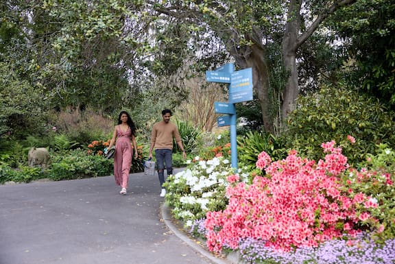 Forest bathing in the Royal Botanic Gardens Victoria. Photo / Supplied