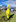 Dressed as a banana to raise money for cancer is Taradale Intermediate student James Hodgetts.