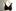 Freya Active underwire. Photo / Doug Sherring