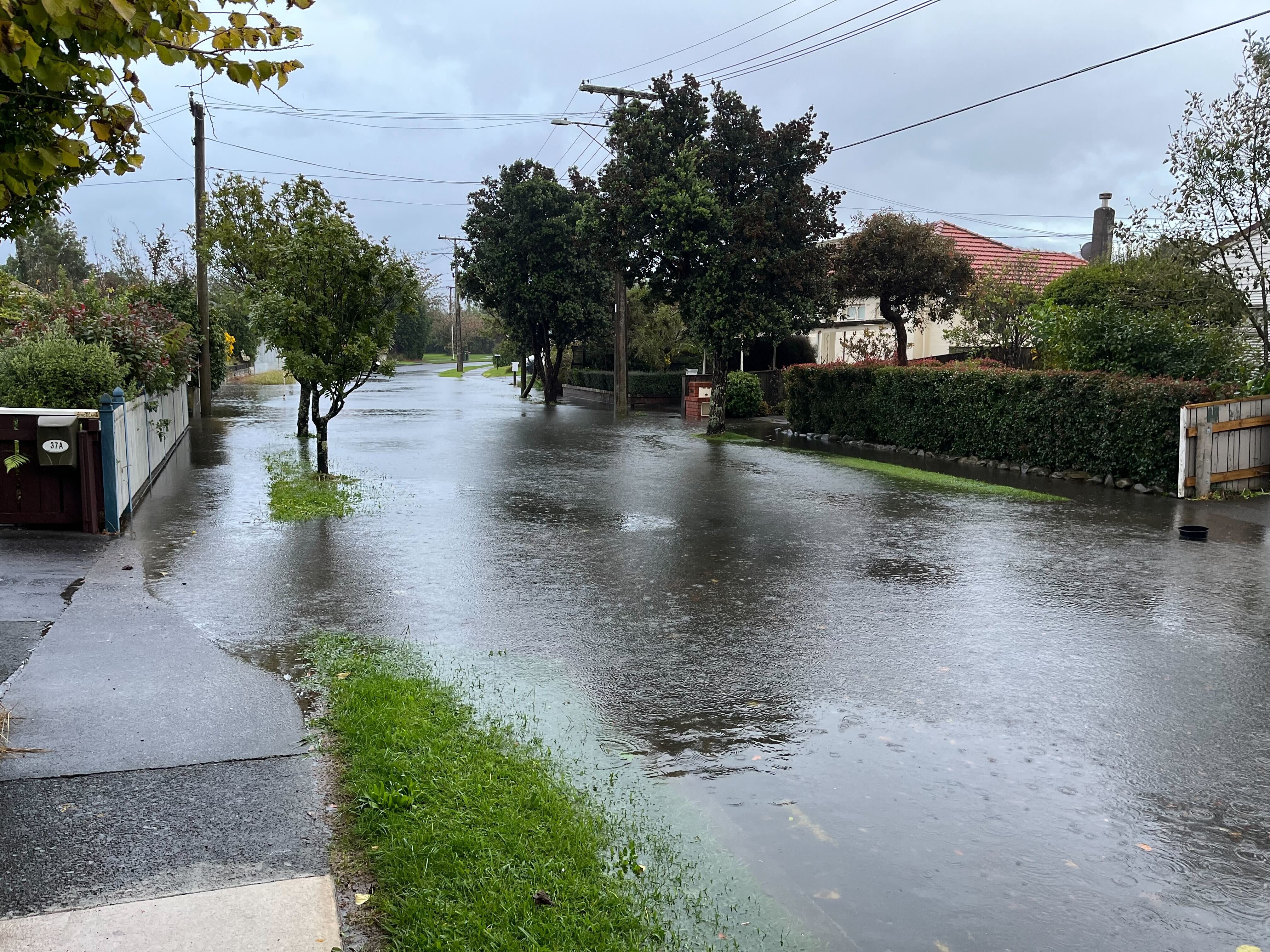 Frosty Blast and Heavy Rain: South Island Braces for Twin Weather Threats — image 6