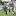 Dean Budd of Northland attemps to catch the ballDean Budd of Northland attemps to catch the ball. Photo / Getty Images