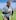 Joe Rokocoko runs with the ball during the All Blacks training session in Dunedin. Photo / Getty Images