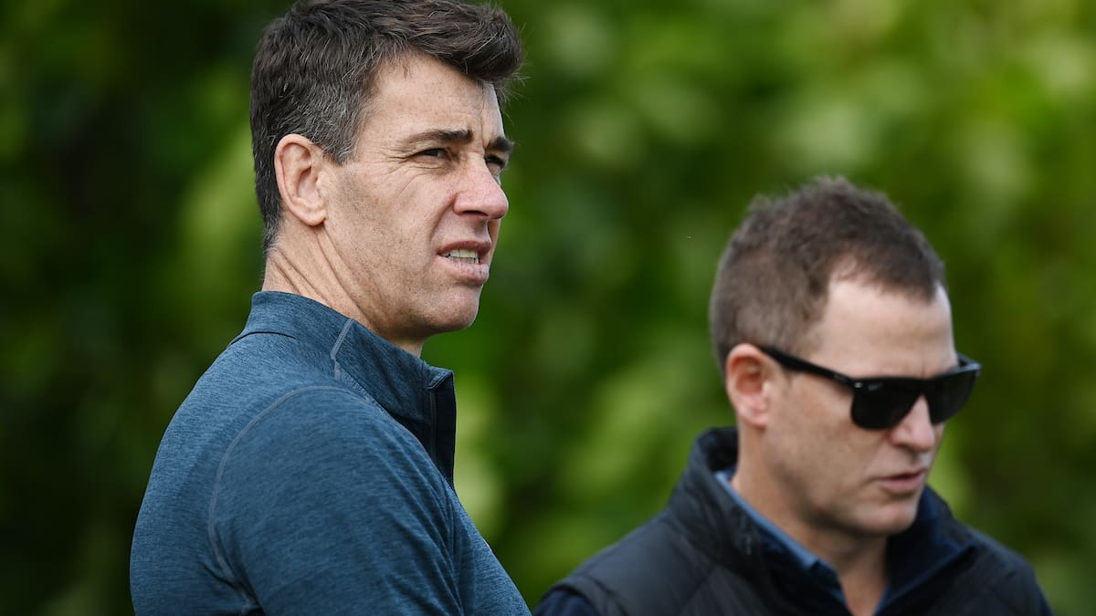 Players association calls for entire NZ Rugby board to resign amid governance standoff
