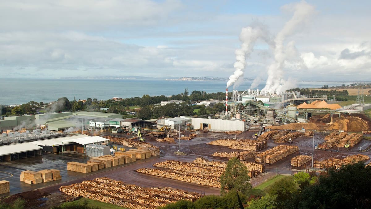 Pan Pac to cut 20 roles in Hawke’s Bay restructure Pan Pac to cut 20 roles in Hawke’s Bay restructure