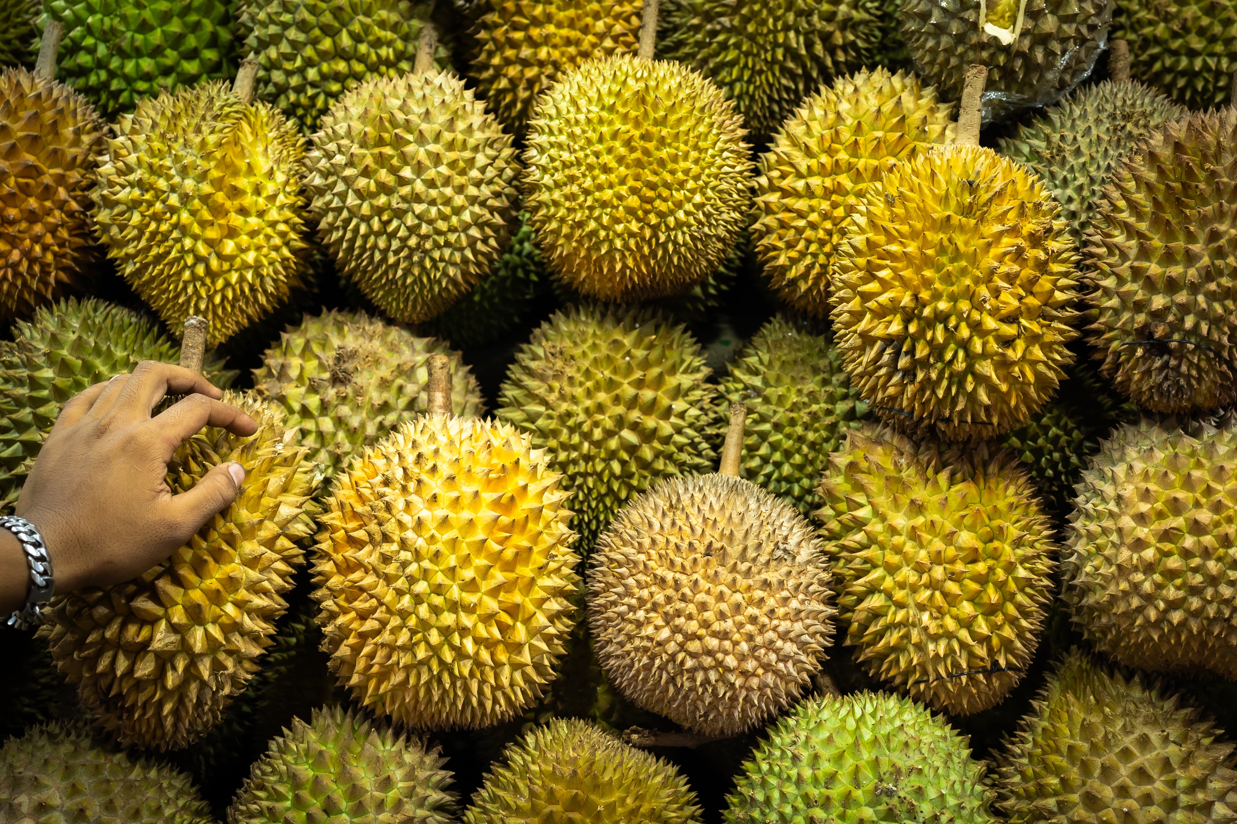fruit 