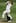 Shane Bond of New Zealand bowls during day three of the First Test match between New Zealand and Pakistan at University Oval in 2009. Photo / Getty Images