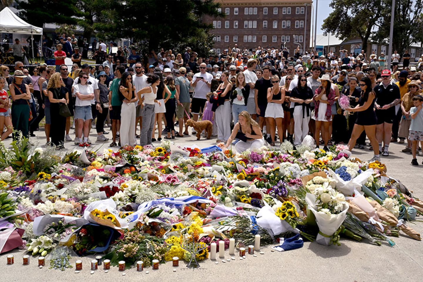 Flowers have been laid at a memorial for the victims of Sunday's terrorist attack at Bondi Beach.