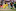 South Africa's Allan Donald is run out against Australia in Birmingham in 1999. Photo / Getty Images