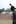 A man walks by the sculpture of Sir Dove Myer-Robinson, former mayor of Auckland, in Aotea Square. Photo / Paul Harper.