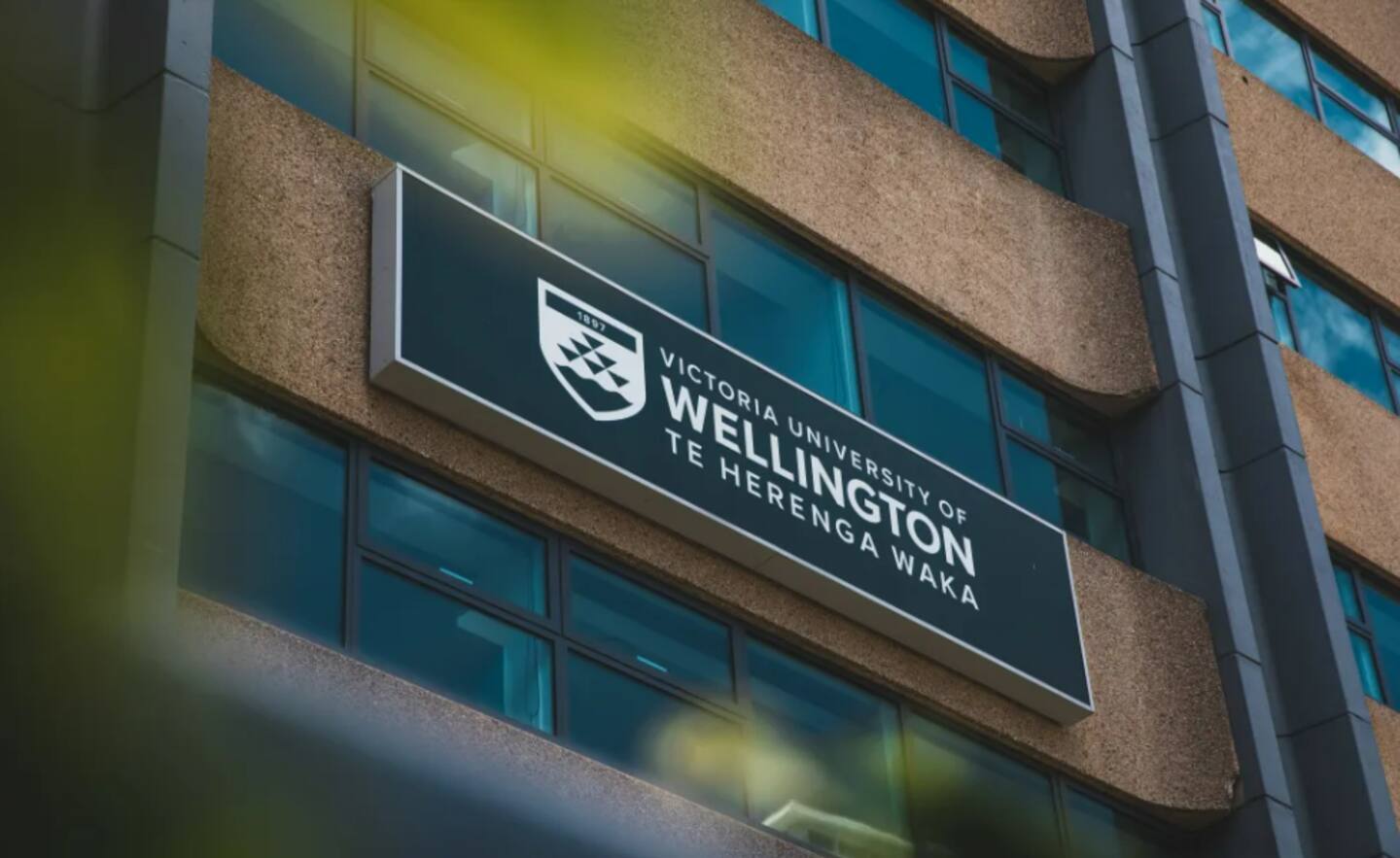 The Wellington Public Sector scholarship pays for two courses done in the second trimester of this year. Photo / RNZ / Samuel Rillstone