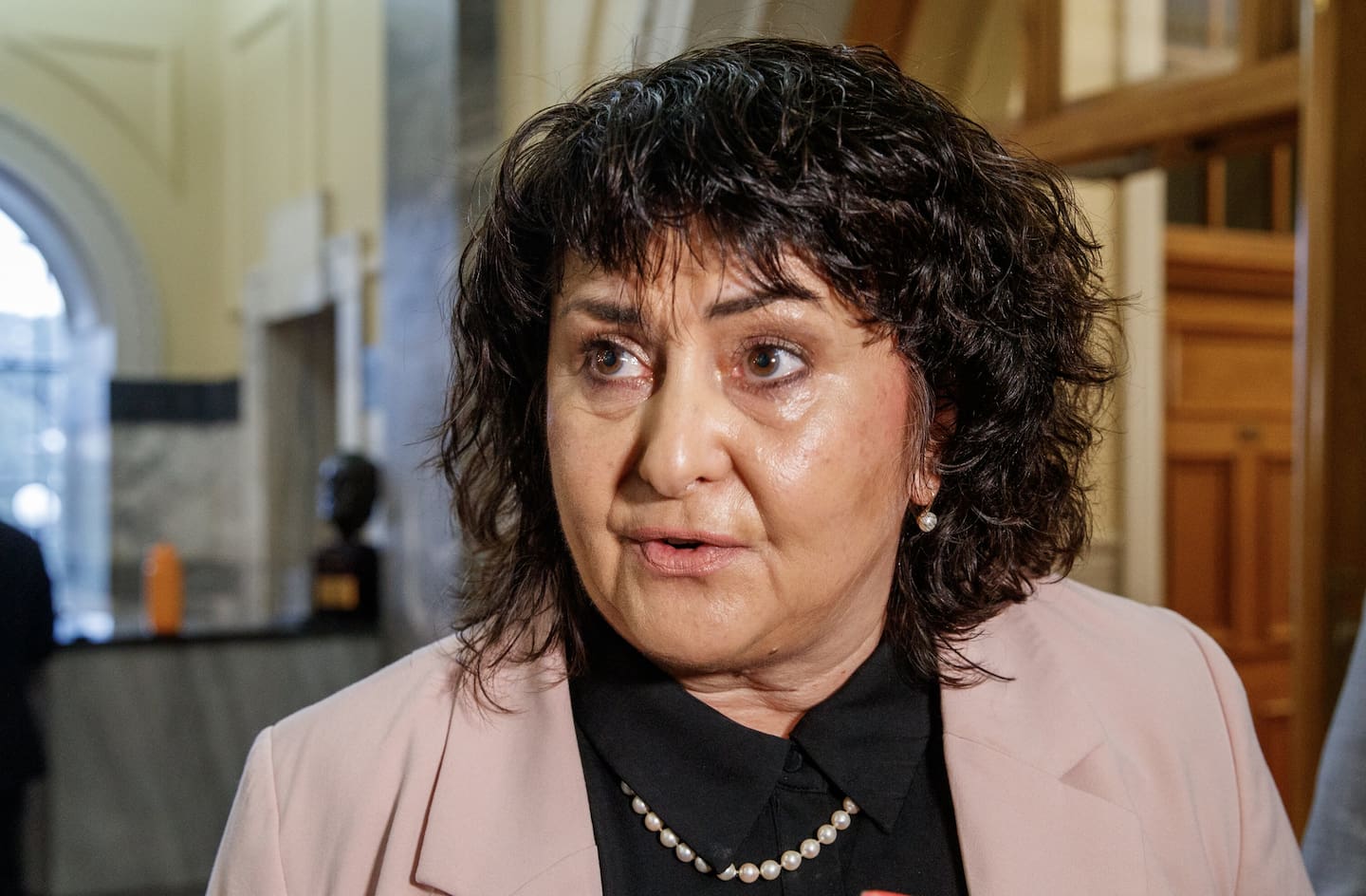 Associate Health Minister Casey Costello speaking to reporters on the tiles, Parliament. Photo / Mark Mitchell