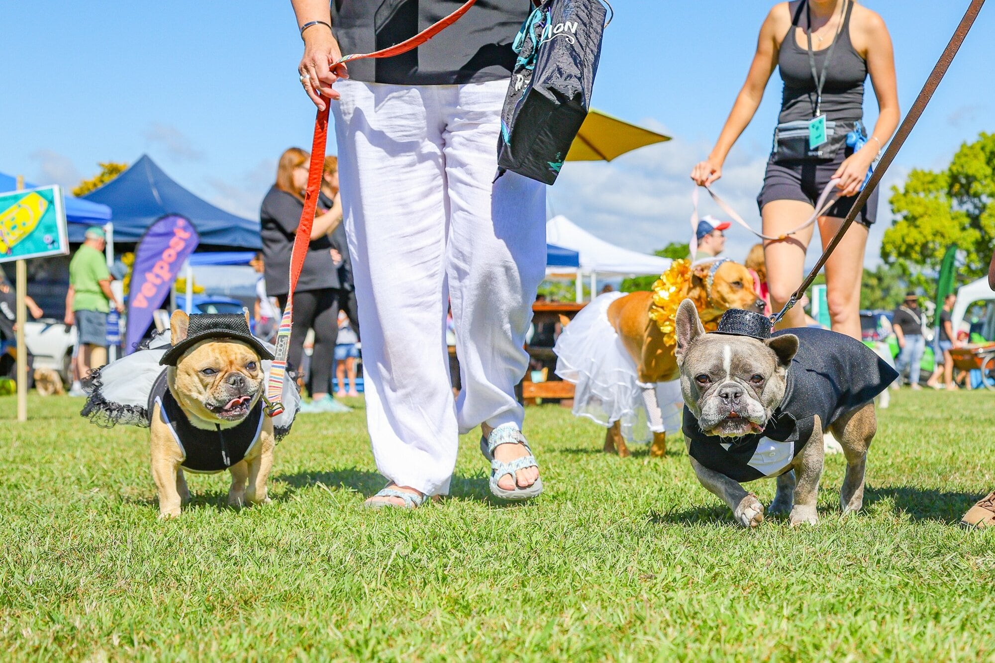  Honey, left, is the adventurous mischief-maker while Winston, right, is very laid-back, nothing phases him. Photo / Guy Rencher