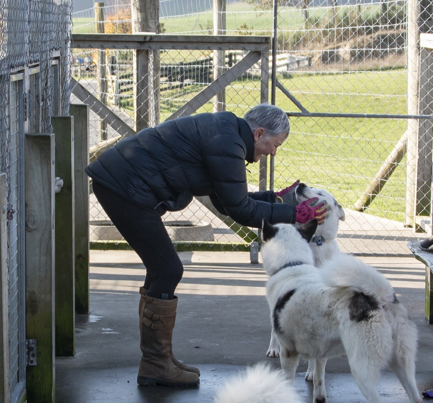  Taniya Coxhead with two of her Siberian huskies. Photo / Catherine Fry