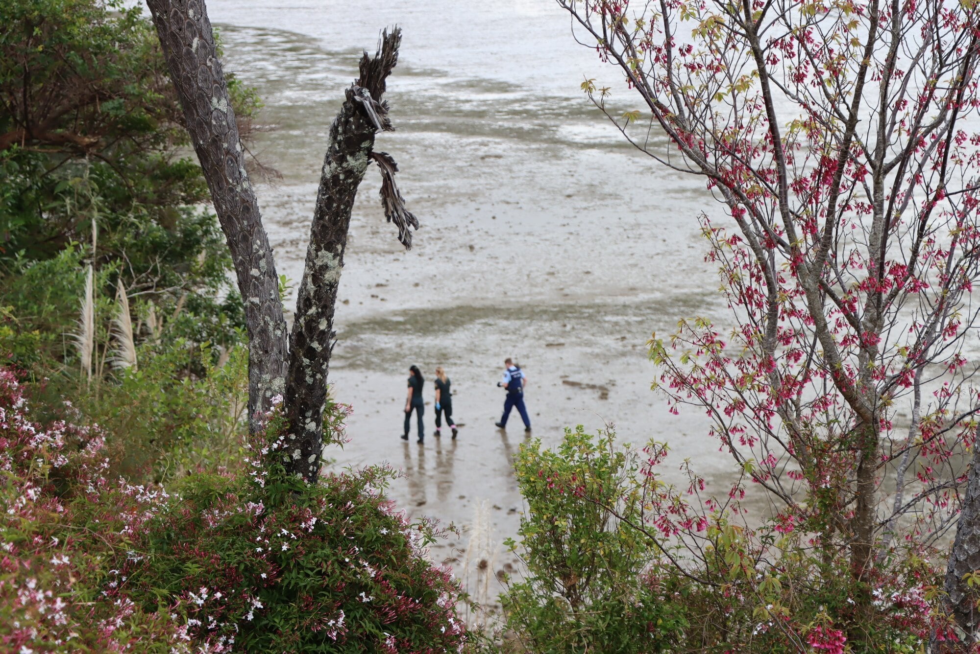 Police on the beach on Plummers Point Rd. Photo / Ayla Yeoman