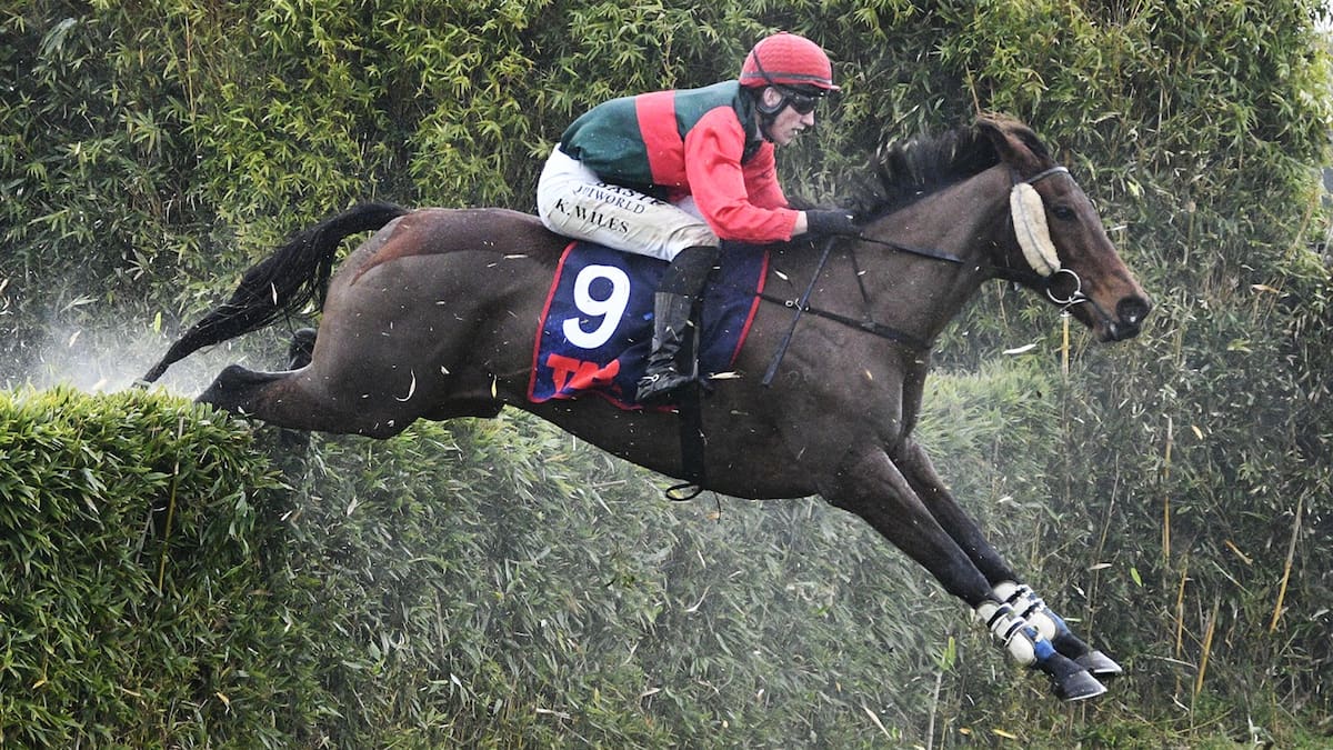 Brosnan stable stars with jumping double at waterlogged Te Rapa Brosnan stable stars with jumping double at waterlogged Te Rapa