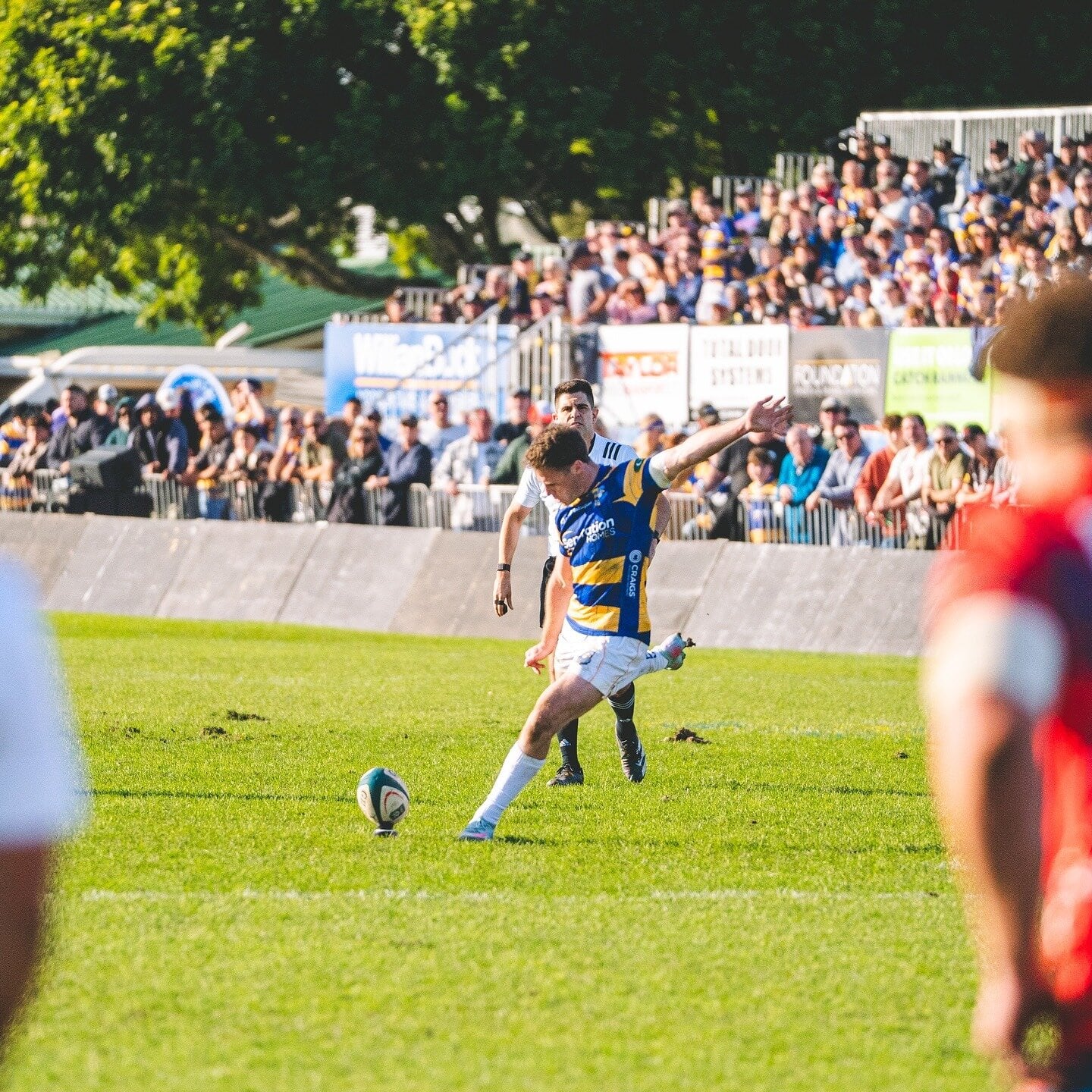 The Steamers kicked off their NPC campaign with a 37-7 home win over Tasman at the Tauranga Domain.  Photo / Bay of Plenty Rugby Union