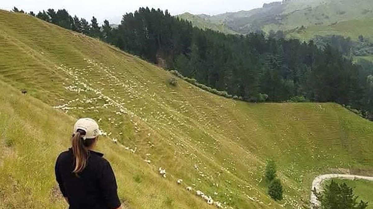 ‘Doors are beginning to open for women who enjoy getting out on the farm’ ‘Doors are beginning to open for women who enjoy getting out on the farm’