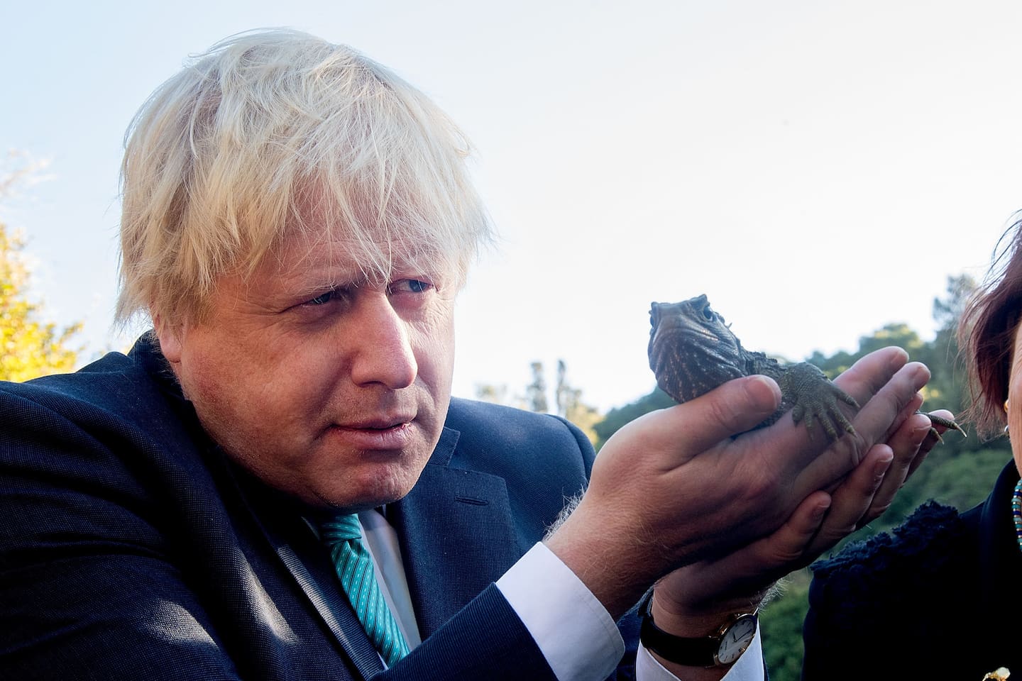 Boris Johnson inspects a tuatara at Zealandia in Wellington in 2017. Photo / Marty Melville