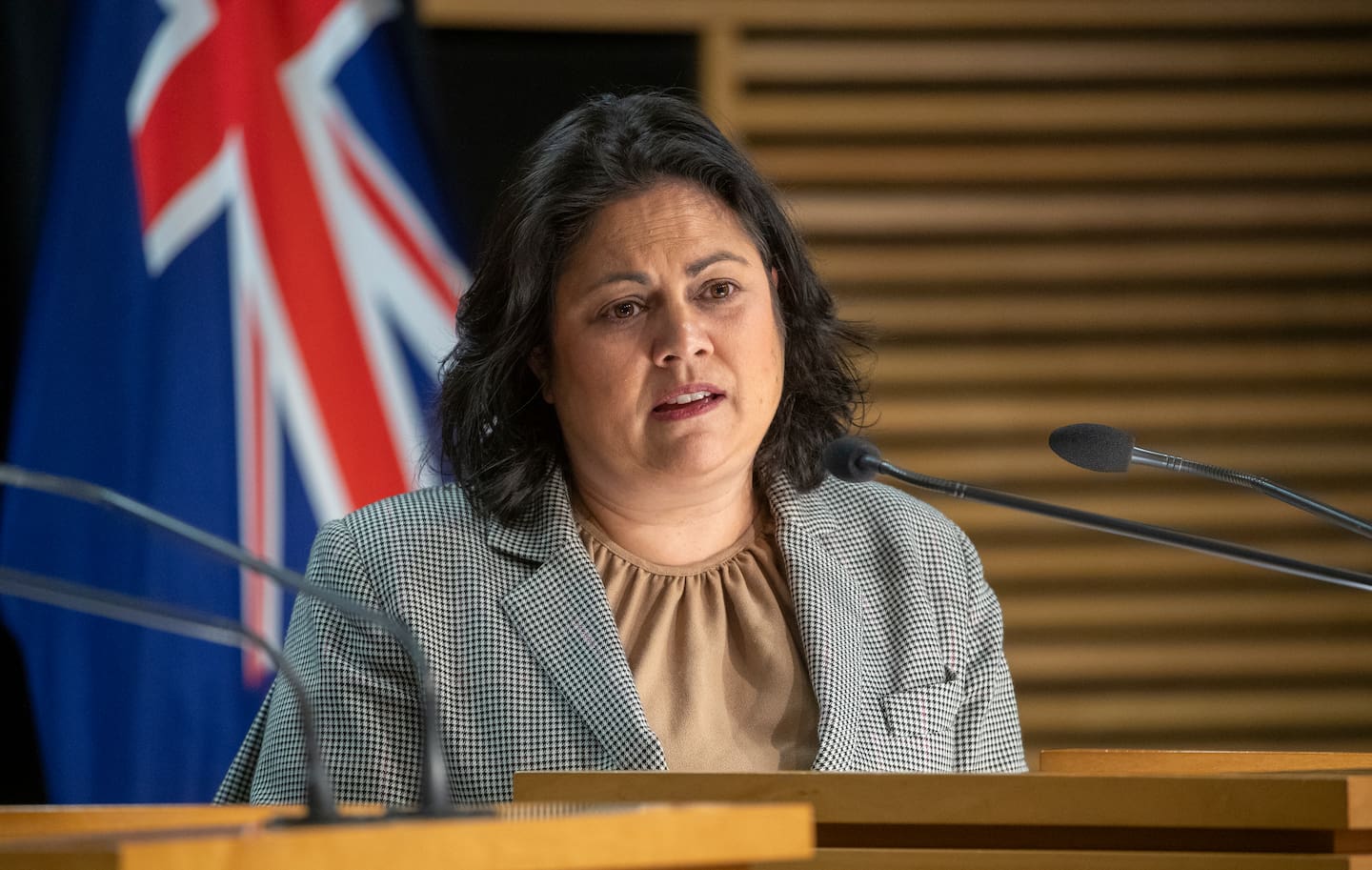Labour health spokeswoman Dr Ayesha Verrall was the Health Minister in the previous Labour Government. Photo / Mark Mitchell