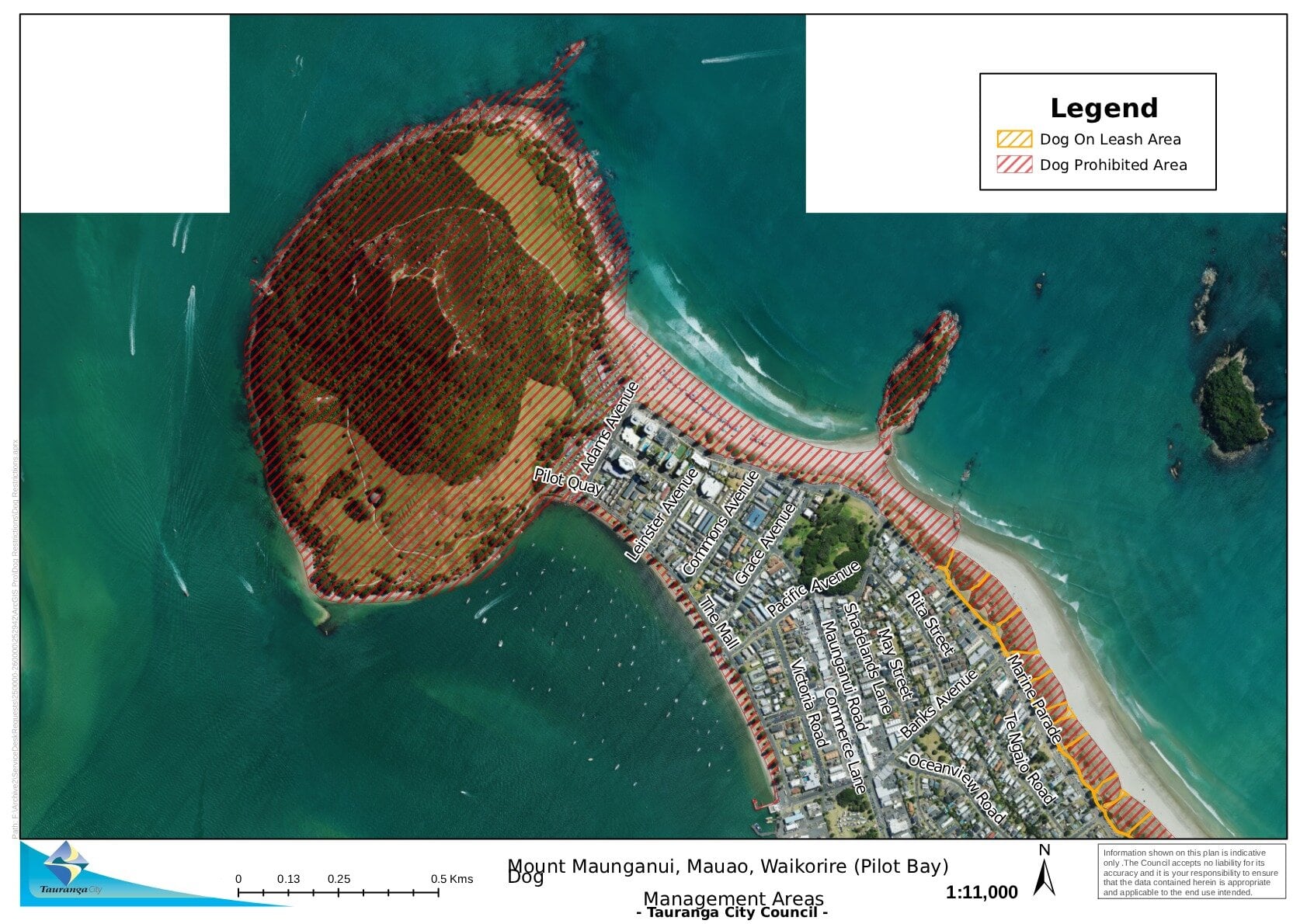  Leashed and prohibited dog areas in Mount Maunganui around Mauao and Pilot Bay. Map / Tauranga City Council