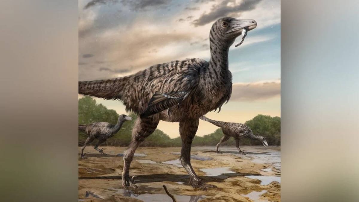 Giant velociraptor bigger than Jurassic Park imaginings discovered in South Korea