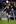 Luke McAlister of the All Blacks kicks the ball during the test match against Italy. Photo / Getty Images