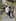 A man is led away by armed police following the incident. Photo / NZPA