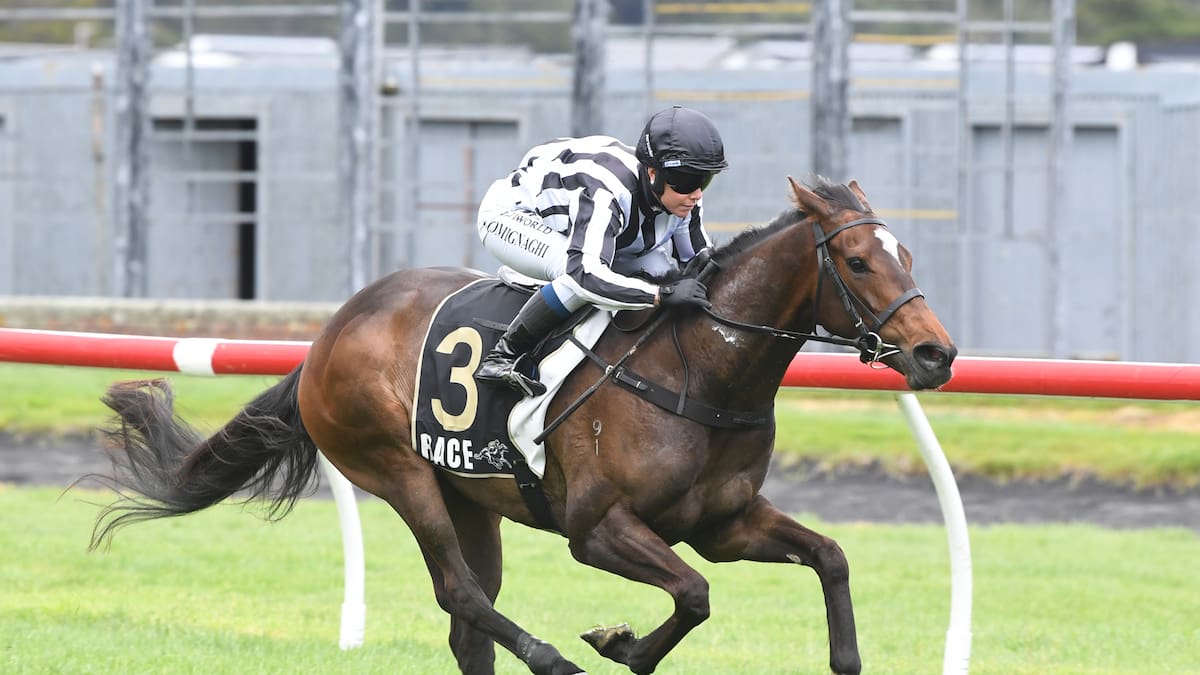 Lisa Latta aims for big wins at Riccarton Park during New Zealand Cup Week