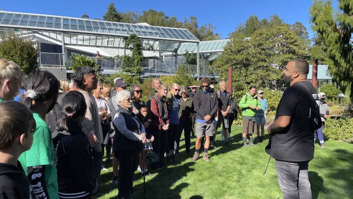 Taranaki Mounga bringing kiwi back to the Kaitake Ranges - NZ Herald