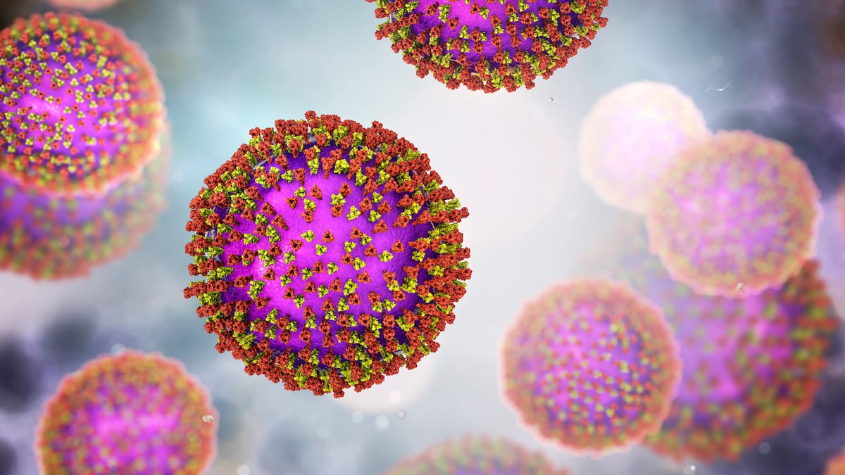New measles cases: Masterton Pak’nSave, Carterton library visited by 3 infected people